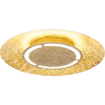 Globo Tabea Plafoniera LED Oro, 1-Luce