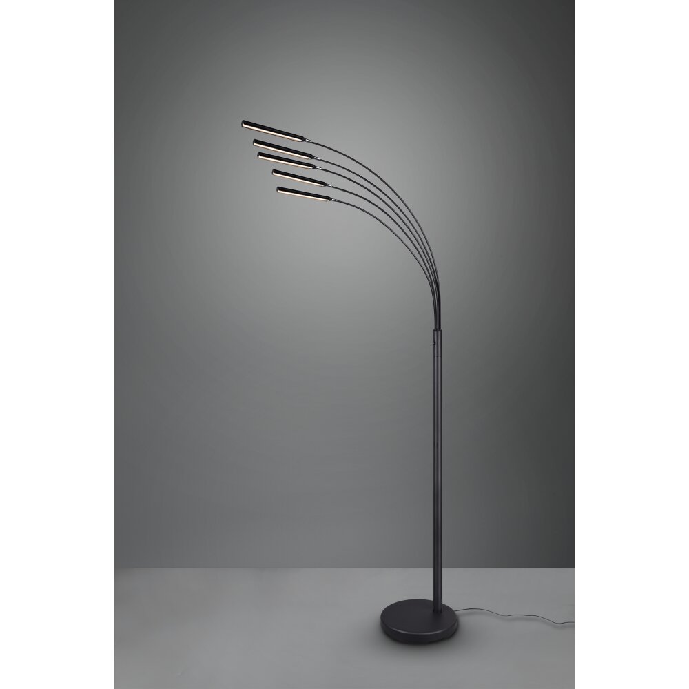 Reality Reed Lampada da terra LED Nero, 5-Luci main product photo