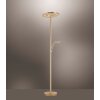 Paul Neuhaus MARTIN Lampada da terra LED Ottone, 1-Luce