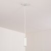 Zuoz Lampadario a sospensione Bianco, 1-Luce