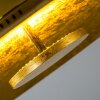 Nipissing Plafoniera LED Oro, 1-Luce