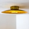 Nipissing Plafoniera LED Oro, 1-Luce