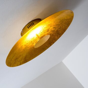 Nipissing Plafoniera LED Oro, 1-Luce