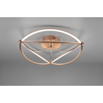 Trio Charivari Plafoniera LED Ottone, 1-Luce