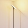 Wonsbek Lampada da terra LED Nichel opaco, 1-Luce