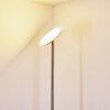 Wonsbek Lampada da terra LED Nichel opaco, 1-Luce