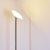 Wonsbek Lampada da terra LED Nichel opaco, 1-Luce