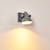 Gudo Applique Grigio, Bianco, 1-Luce