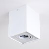 Betsie Plafoniera Bianco, 1-Luce