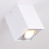 Betsie Plafoniera Bianco, 1-Luce