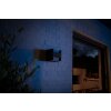 Philips Hue White Fuzo Applique LED Nero, 1-Luce