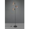 Trio Tosh Lampada da terra LED Nero, 3-Luci