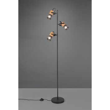 Trio Tosh Lampada da terra LED Nero, 3-Luci