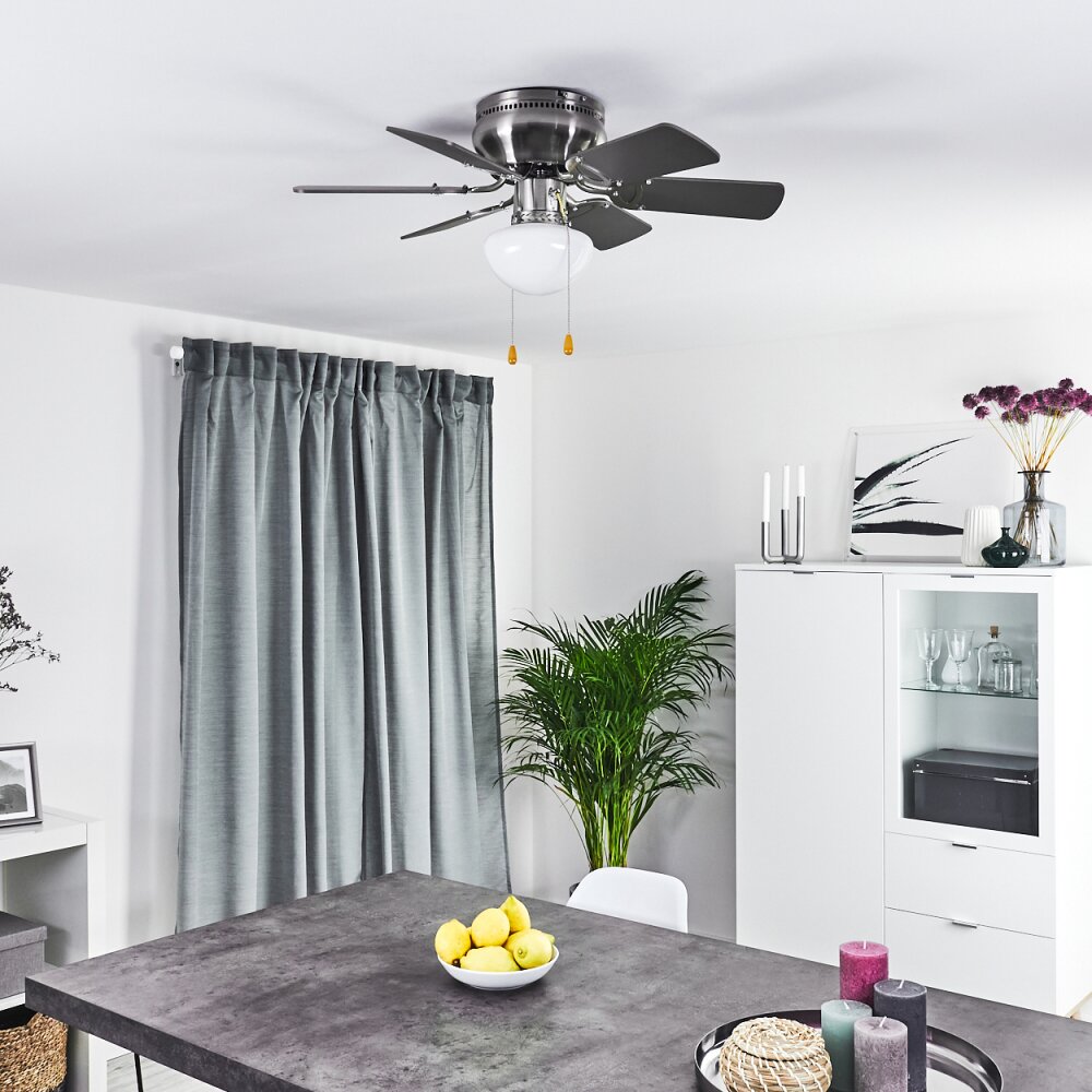 Trillo ventilatore da soffitto Grigio, Legno chiaro, Nichel opaco, 1-Luce
