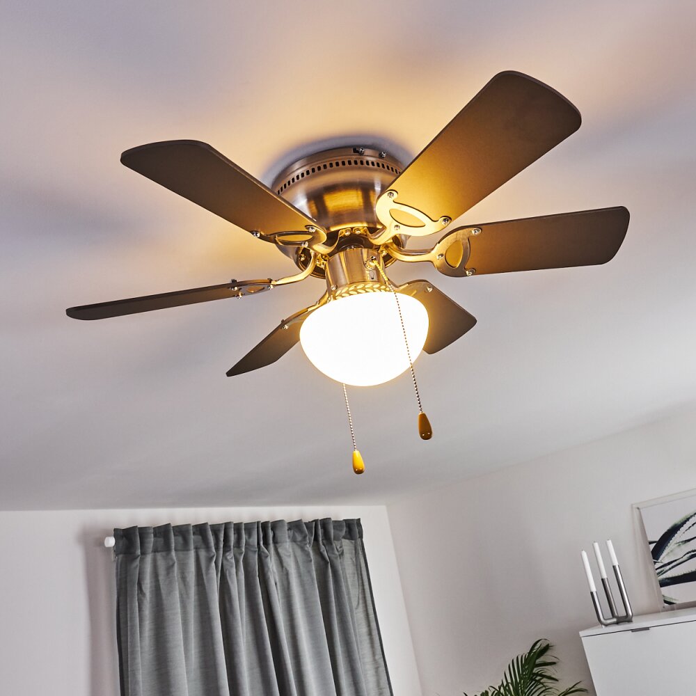Trillo ventilatore da soffitto Grigio, Legno chiaro, Nichel opaco, 1-Luce