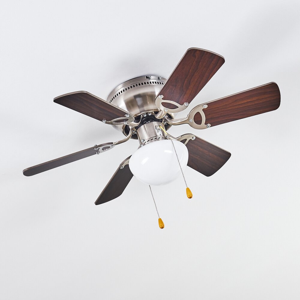 Trillo ventilatore da soffitto Grigio, Legno chiaro, Nichel opaco, 1-Luce