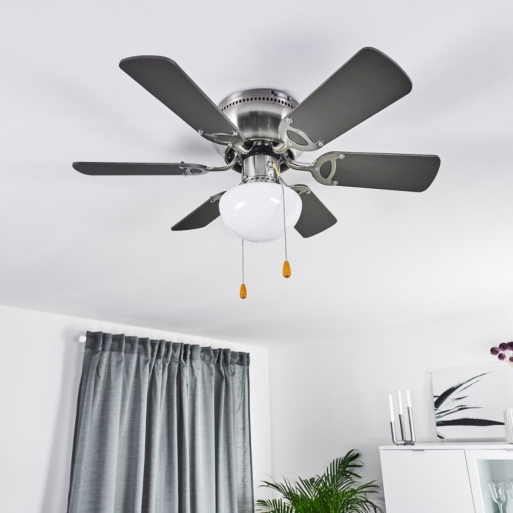 Trillo ventilatore da soffitto Grigio, Legno chiaro, Nichel opaco, 1-Luce