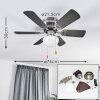 Trillo ventilatore da soffitto Grigio, Legno chiaro, Nichel opaco, 1-Luce