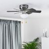 Trillo ventilatore da soffitto Grigio, Legno chiaro, Nichel opaco, 1-Luce