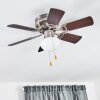 Trillo ventilatore da soffitto Grigio, Legno chiaro, Nichel opaco, 1-Luce
