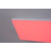Paul Neuhaus Q-FLAG Plafoniera LED Bianco, 1-Luce, Telecomando, Cambia colore