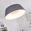 Fremont Lampadario a sospensione LED Grigio, 1-Luce, Telecomando