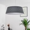 Fremont Lampadario a sospensione LED Grigio, 1-Luce, Telecomando