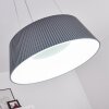 Fremont Lampadario a sospensione LED Grigio, 1-Luce, Telecomando