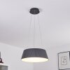 Fremont Lampadario a sospensione LED Grigio, 1-Luce, Telecomando