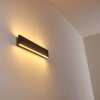 Obion Applique LED Nero, 2-Luci