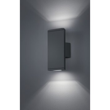 Trio COLORADO Applique da esterno LED Antracite, 2-Luci