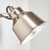 Safari Applique Cromo satinato, 1-Luce