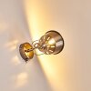 Safari Applique Cromo satinato, 1-Luce